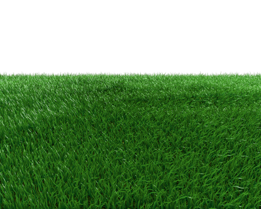 Artificial Grass